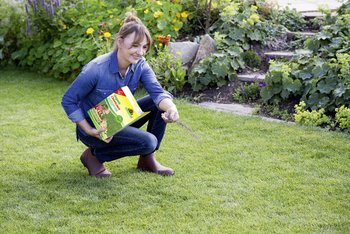 Neudorff and DLF Seeds lead the way in top quality lawncare