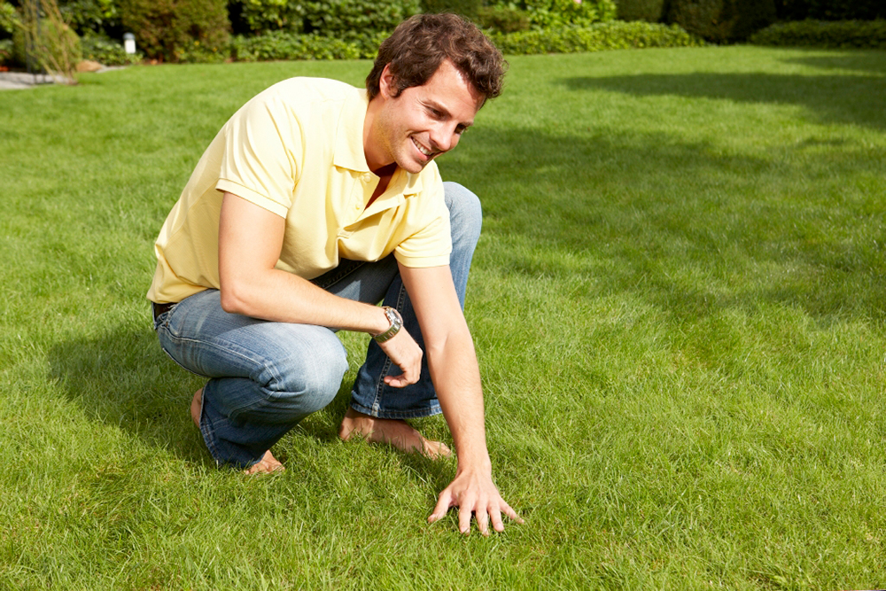 Using the right products at the right time result in an enjoyable and healthy lawn.