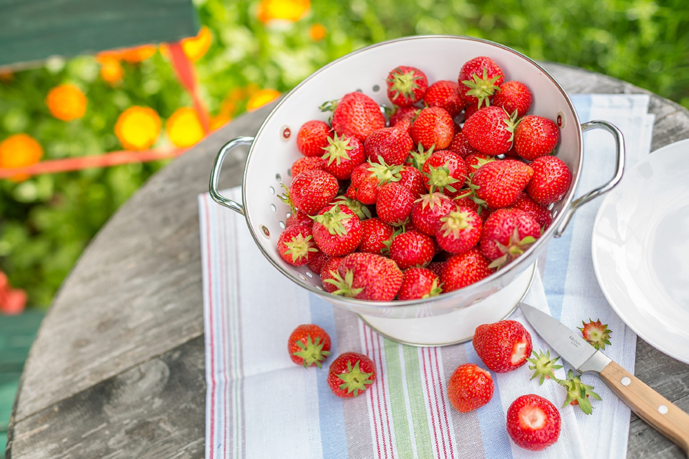 Strawberries need a balanced organic fertiliser.