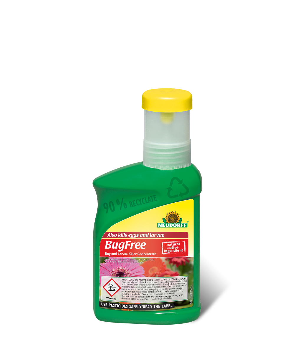 Bug Free Bug and Larve Concentrate