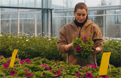 girl with flower 01
