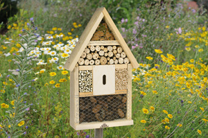 Insect Hotel