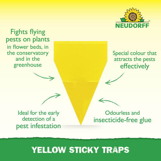 Yellow Sticky Traps Sprechende Bilder Bild 2
