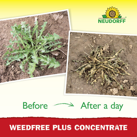 WeedFree Plus Concentrate Weedkiller Sprechende Bilder Bild 5