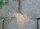 01_Ant_damage_in_paving_Neudorff.jpg