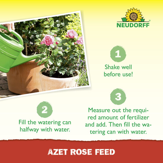 Azet Rose Feed Sprechende Bilder Bild 5