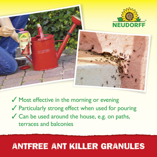 AntFree Ant Killer Granules Sprechende Bilder Bild 4