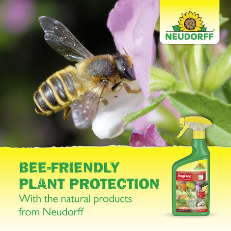 BugFree Bug and Larvae Killer Concentrate Sprechende Bilder Bild 7