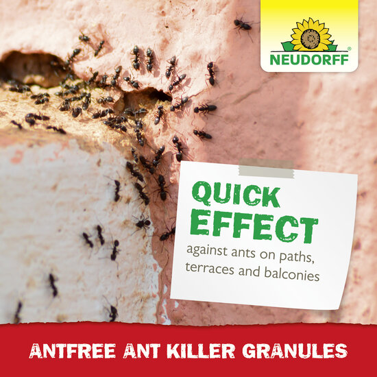 AntFree Ant Killer Granules Sprechende Bilder Bild 6