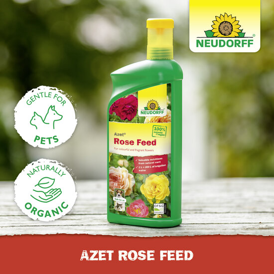 Azet Rose Feed Sprechende Bilder Bild 6
