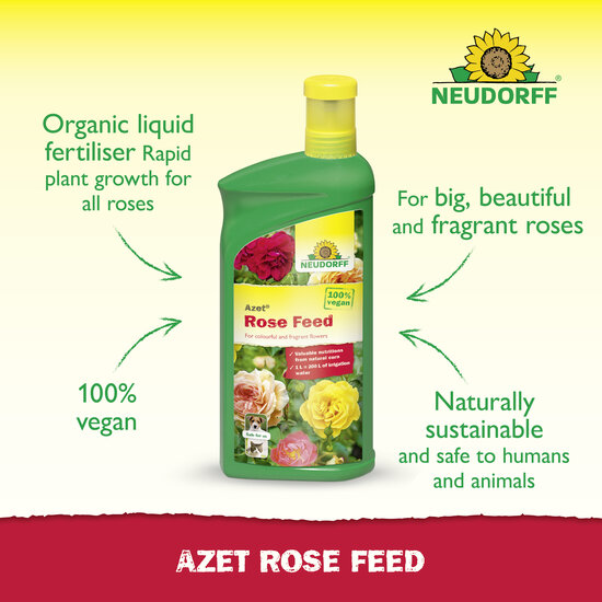 Azet Rose Feed Sprechende Bilder Bild 2