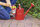AntFree_Ant_Killer_Granules_watering_can_01.jpg