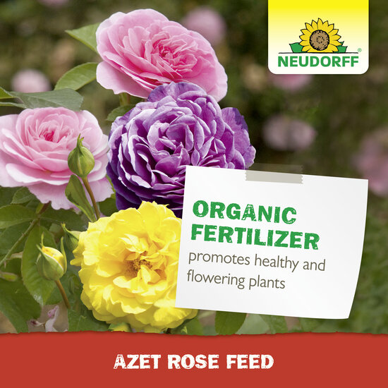 Azet Rose Feed Sprechende Bilder Bild 7