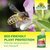 BugFree Bug and Larvae Killer Sprechende Bilder Bild 7