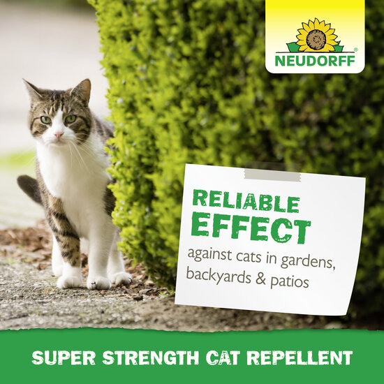 Super Strenght Cat Repellent Sprechende Bilder Bild 6
