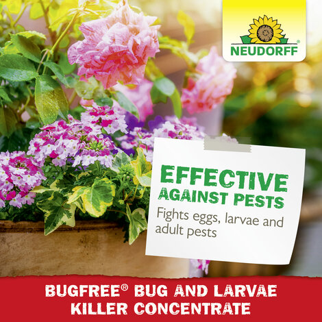 BugFree Bug and Larvae Killer Concentrate Sprechende Bilder Bild 6