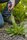 06_Dandelion_manual_weeding_Neudorff.jpg