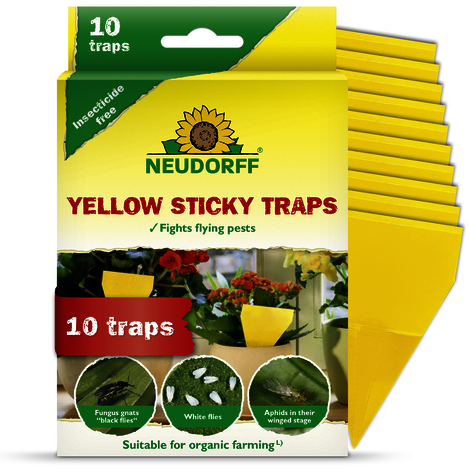 Yellow Sticky Traps Sprechende Bilder Bild 1