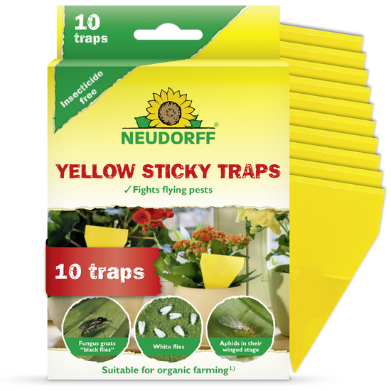 Yellow Sticky Traps Sprechende Bilder Bild 1