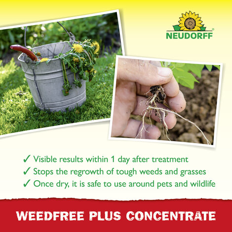 WeedFree Plus Concentrate Weedkiller Sprechende Bilder Bild 4