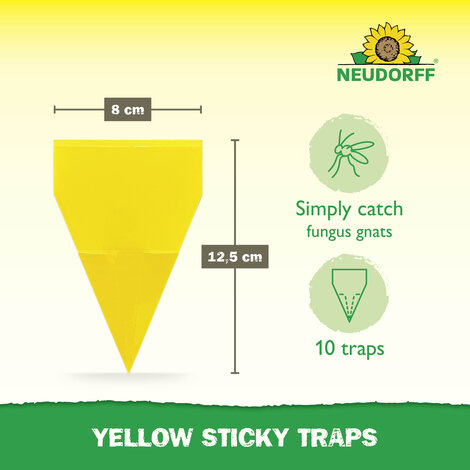 Yellow Sticky Traps Sprechende Bilder Bild 3