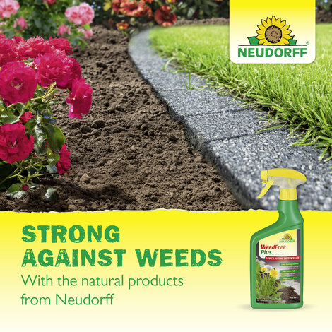 CleanLawn Moss Control for Lawns Sprechende Bilder Bild 8