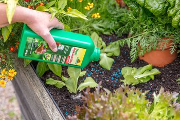 Control slugs organically this spring with Neudorff