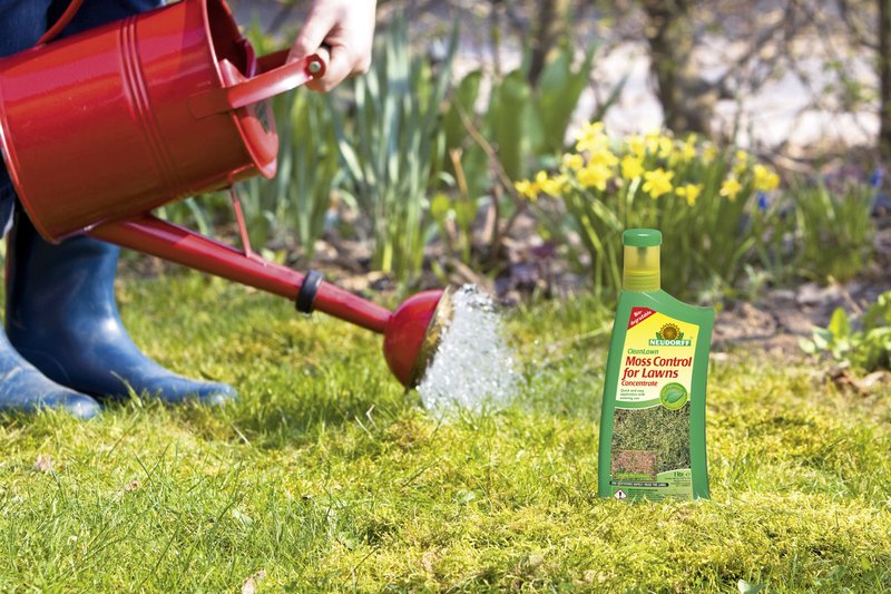 Neudorff CleanLawn Moss Control for Lawns Concentrate