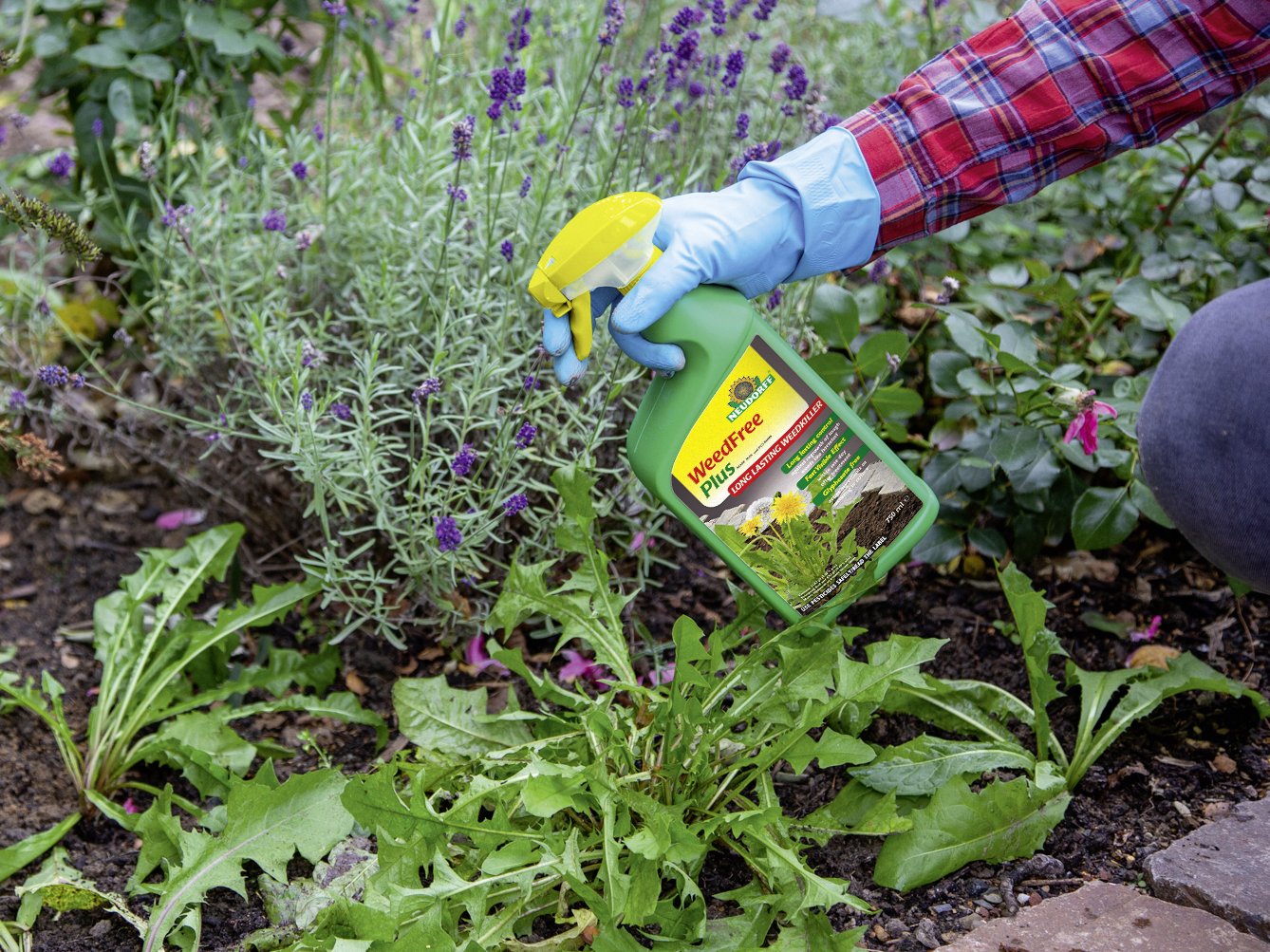 Long lasting control against regrowth of tough weeds - Glyphosate free