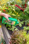 Control slugs organically this spring with Neudorff