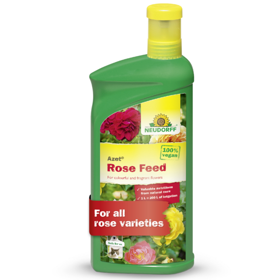 Azet Rose Feed Sprechende Bilder Bild 1