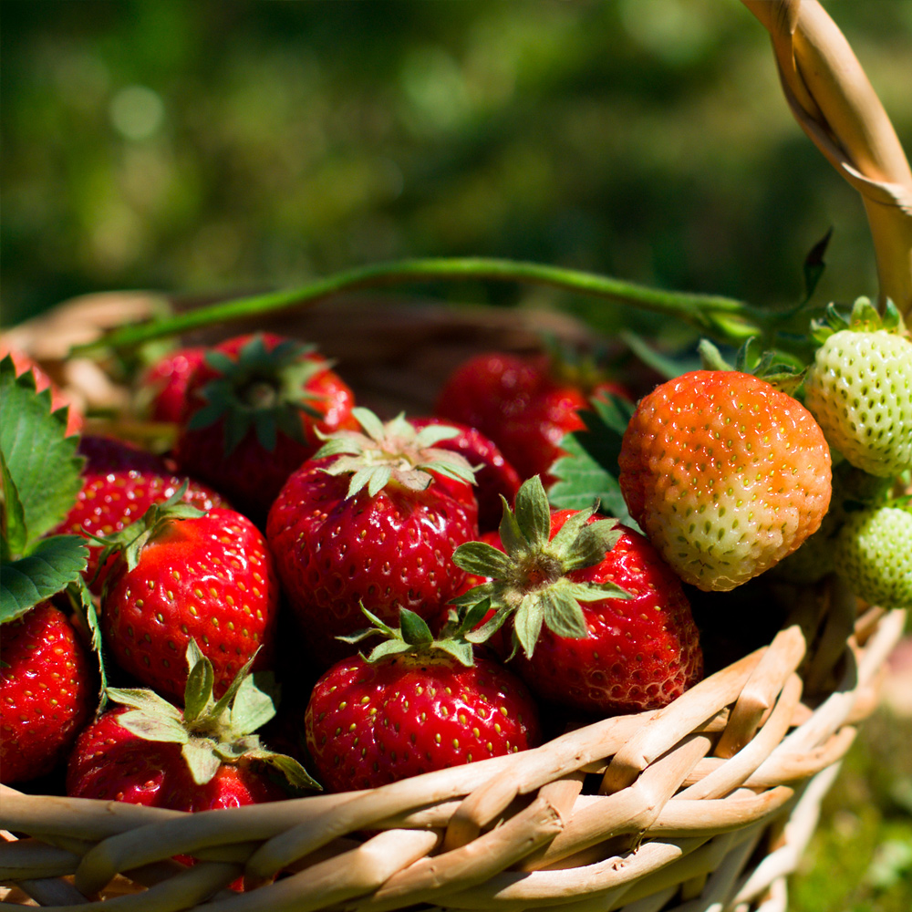 Strawberry