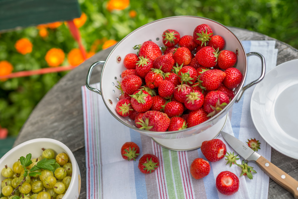 Delicious fruits for tasting