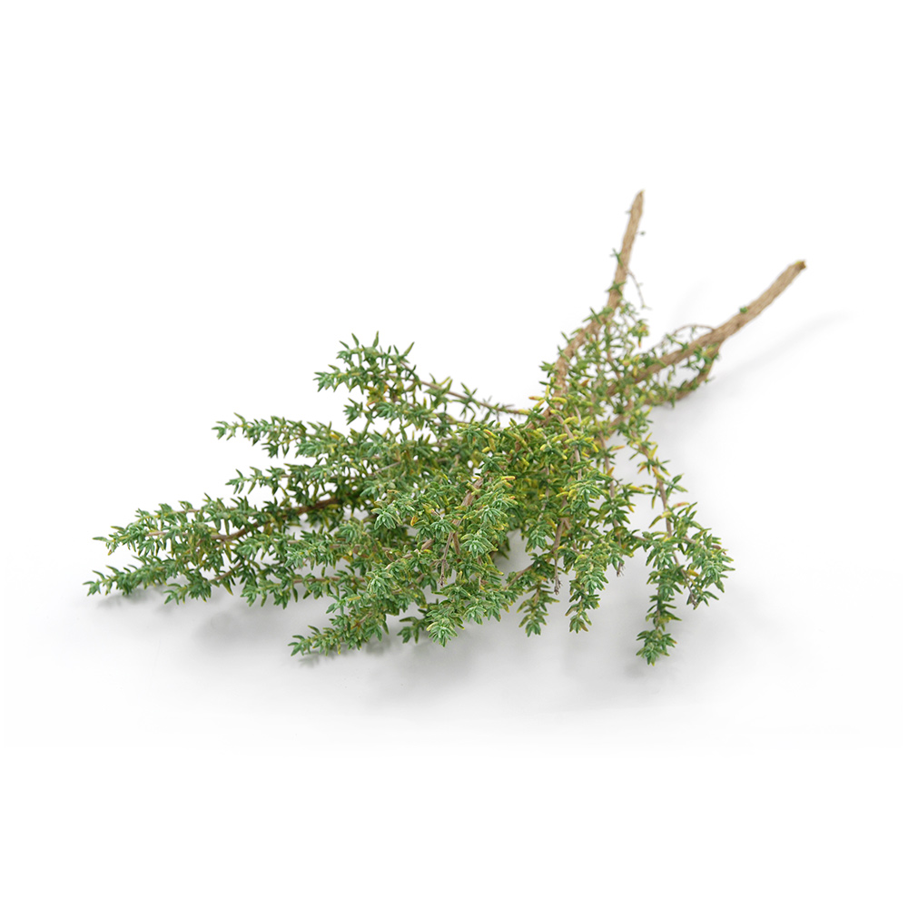 Thyme