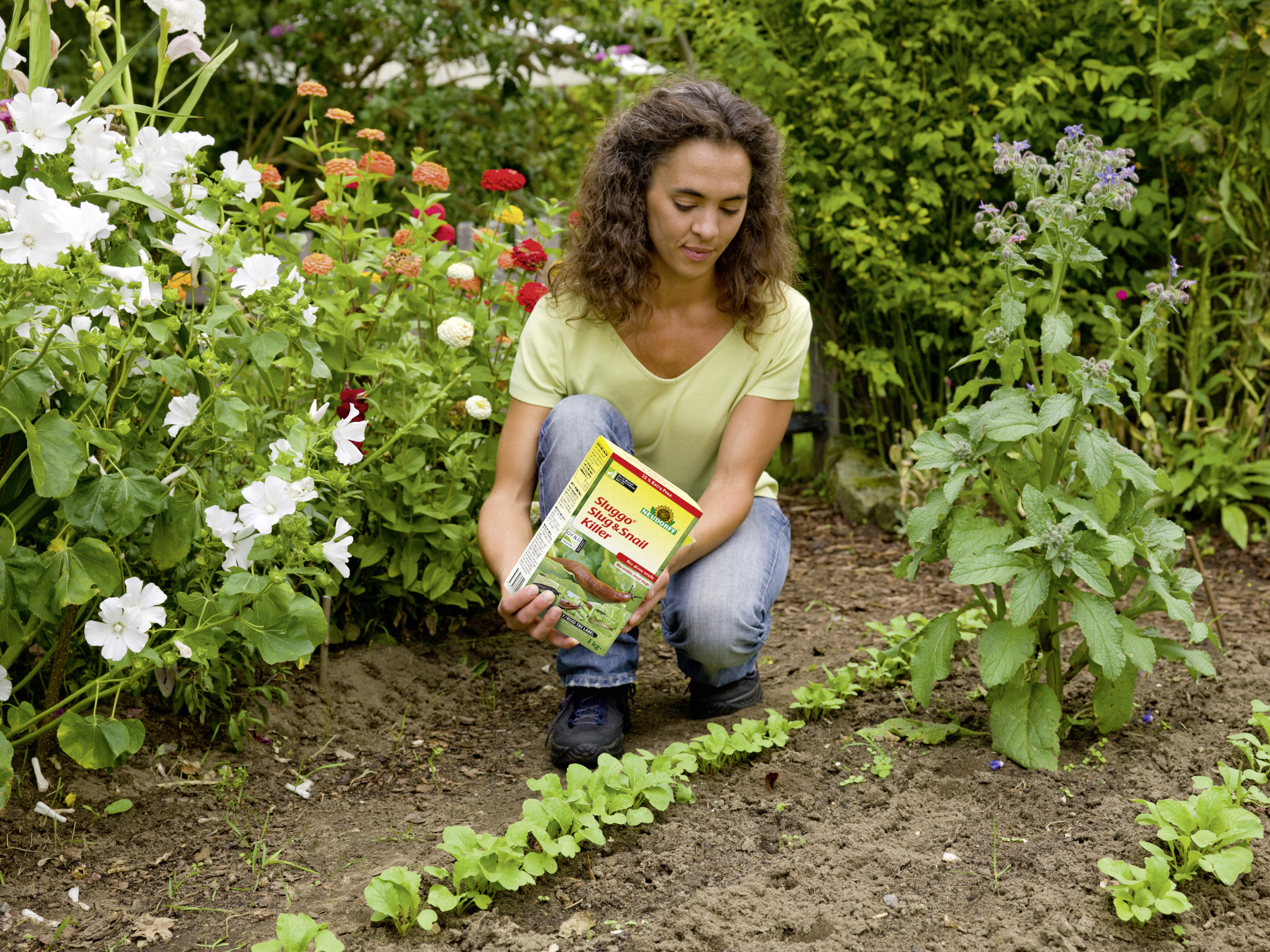 Sluggo Slug & Snail Killer - protects pets, hedgehogs, birds, earthworms and other wildlife. Leaves no messy slime trails.