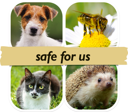 UK - Safe for us