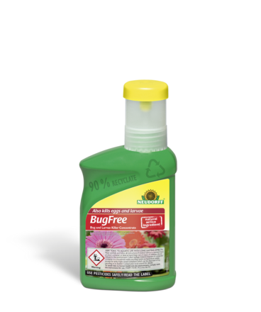 BugFree Bug and Larvae Killer Concentrate
