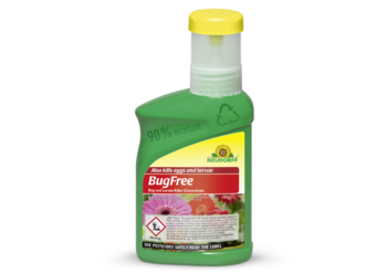 BugFree Bug and Larvae Killer Concentrate