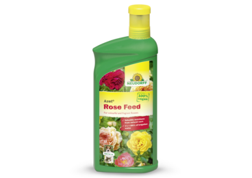 Azet Rose Feed