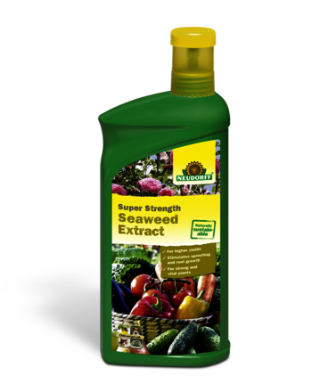 Super Strength Seaweed Extract