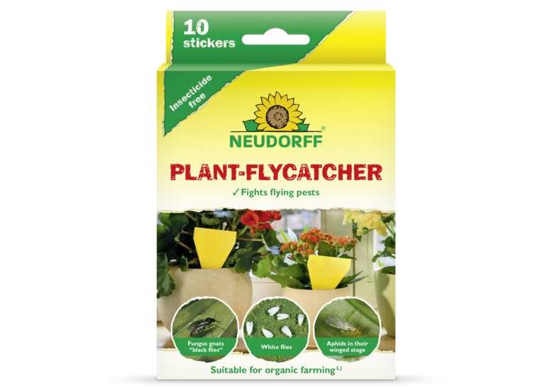 Yellow Sticky Traps Yellow Sticky Traps